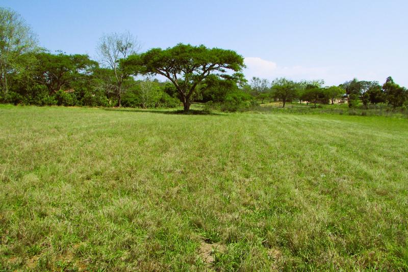 0 Bedroom Property for Sale in White River Estates Mpumalanga
