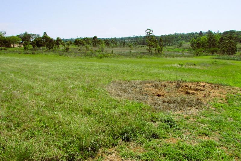 0 Bedroom Property for Sale in White River Estates Mpumalanga