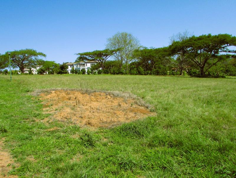0 Bedroom Property for Sale in White River Estates Mpumalanga