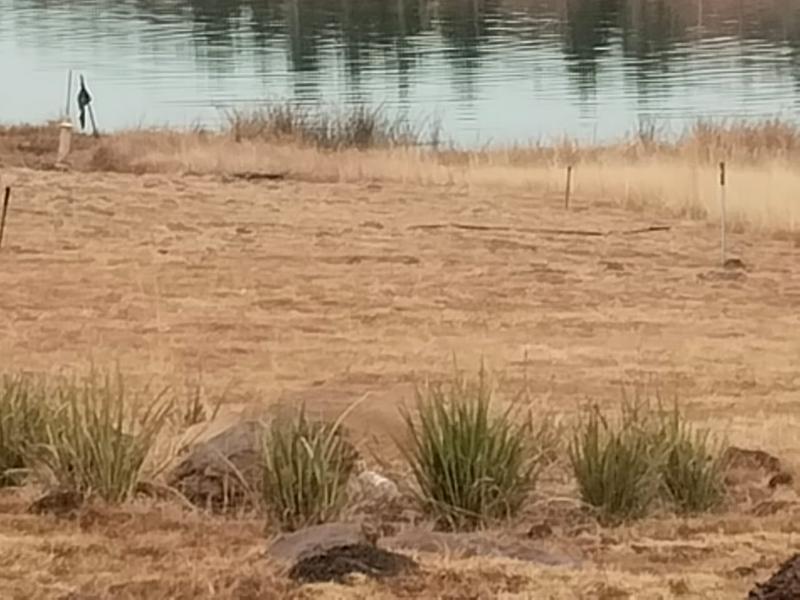 5 Bedroom Property for Sale in Piet Retief Mpumalanga