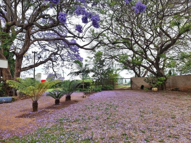 Commercial Property for Sale in White River AH Mpumalanga
