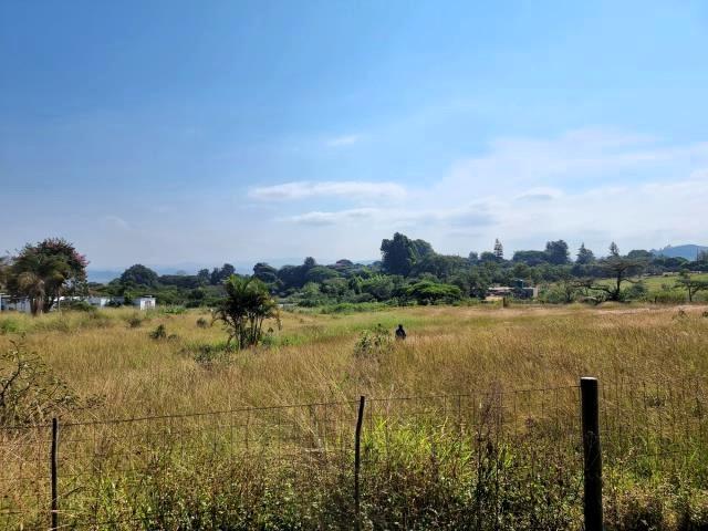 0 Bedroom Property for Sale in White River AH Mpumalanga