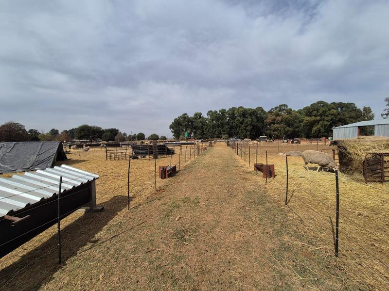 0 Bedroom Property for Sale in Delmas Mpumalanga