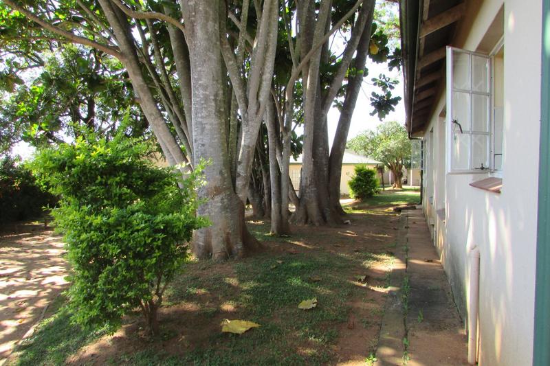 1 Bedroom Property for Sale in White River Ext 16 Mpumalanga