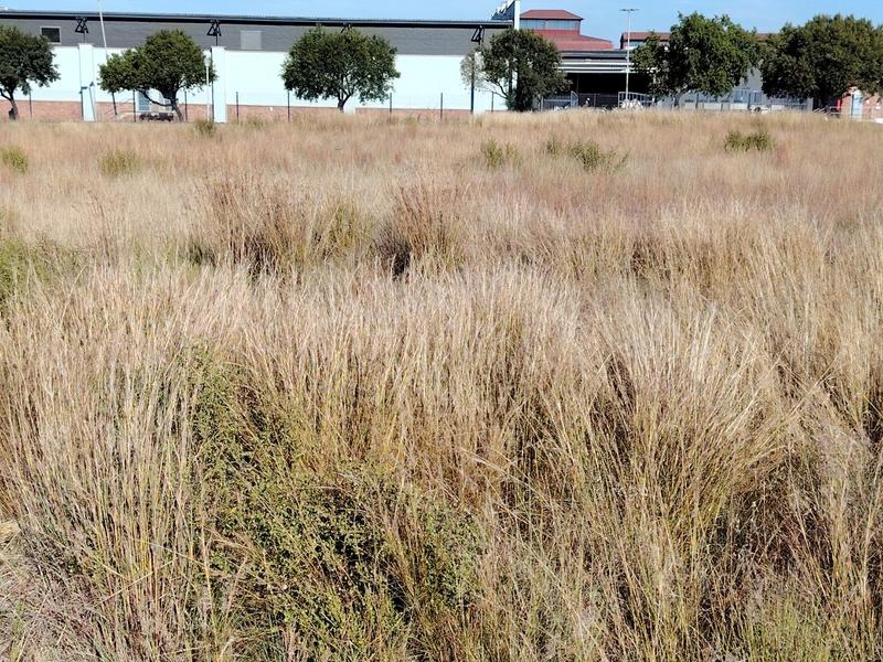 0 Bedroom Property for Sale in Aerorand Mpumalanga