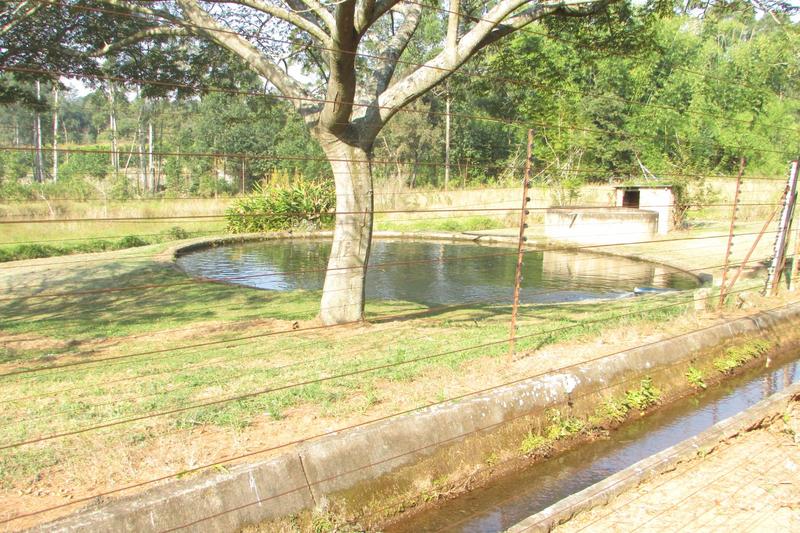 0 Bedroom Property for Sale in White River Estates Mpumalanga