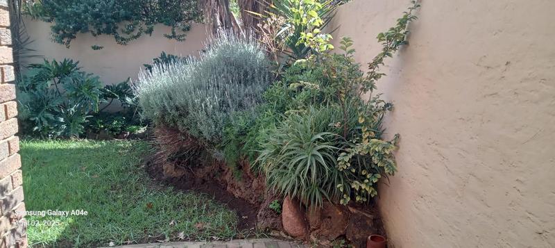 3 Bedroom Property for Sale in Delmas Mpumalanga