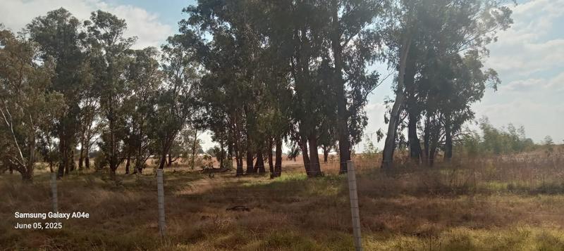 0 Bedroom Property for Sale in Eloff Mpumalanga