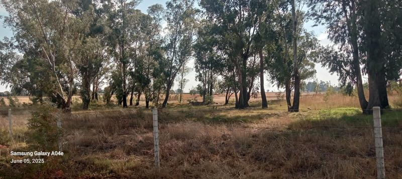 0 Bedroom Property for Sale in Eloff Mpumalanga