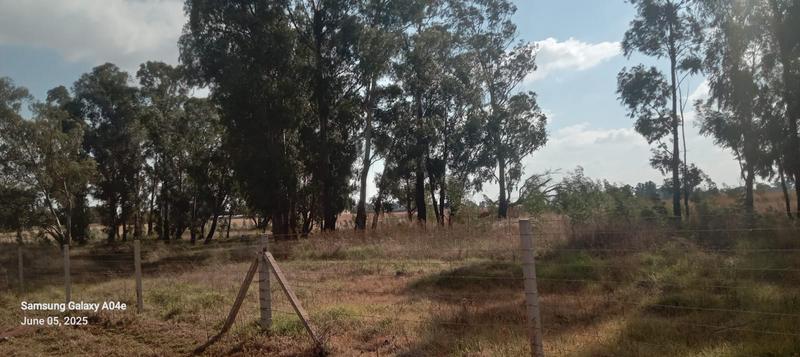 0 Bedroom Property for Sale in Eloff Mpumalanga