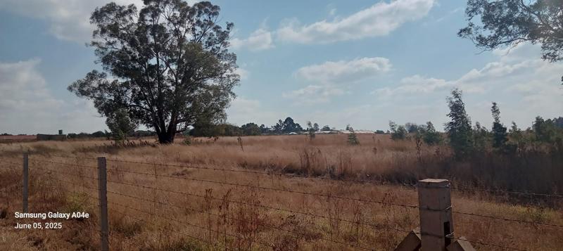 0 Bedroom Property for Sale in Eloff Mpumalanga