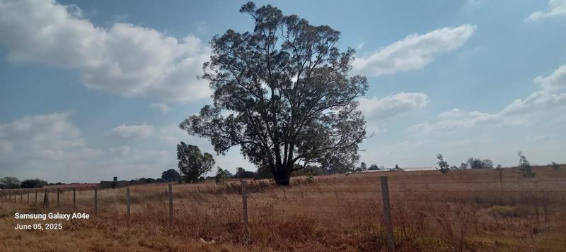 0 Bedroom Property for Sale in Eloff Mpumalanga