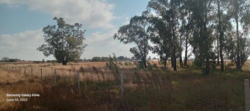 0 Bedroom Property for Sale in Eloff Mpumalanga