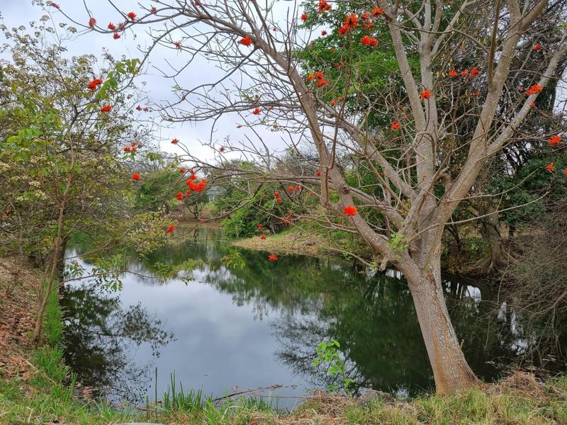 0 Bedroom Property for Sale in Hazyview Mpumalanga