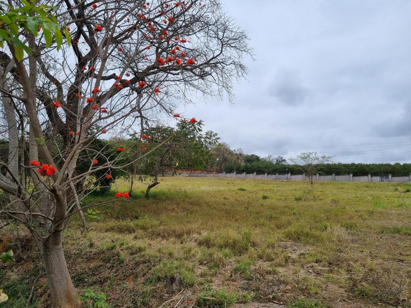 0 Bedroom Property for Sale in Hazyview Mpumalanga