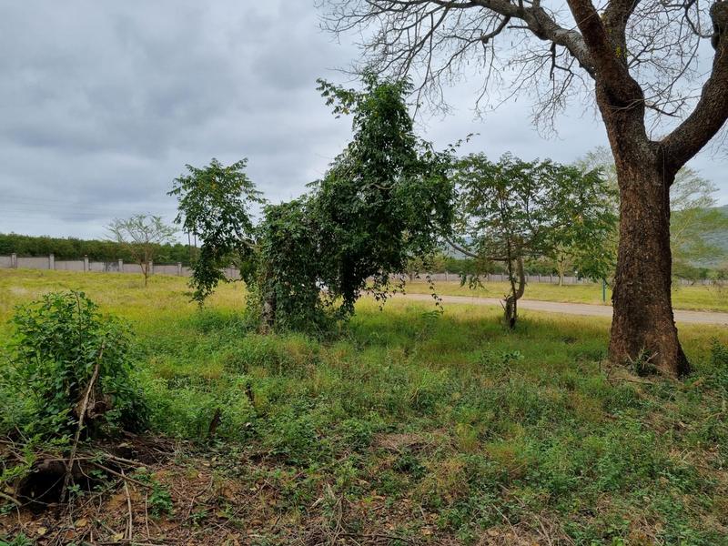0 Bedroom Property for Sale in Hazyview Mpumalanga