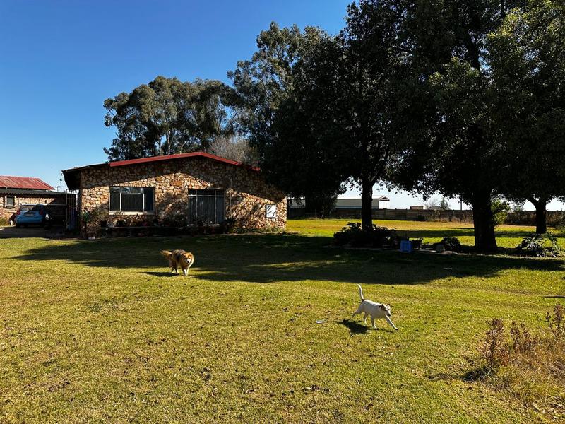 4 Bedroom Property for Sale in Eloff Mpumalanga