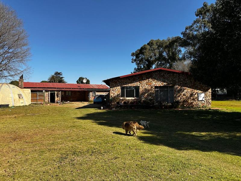4 Bedroom Property for Sale in Eloff Mpumalanga
