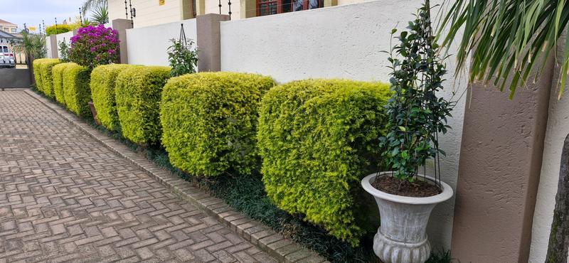 3 Bedroom Property for Sale in Aerorand Mpumalanga