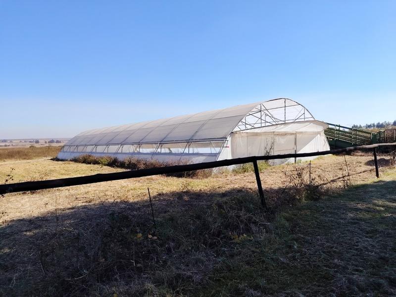 4 Bedroom Property for Sale in Witbank Rural Mpumalanga