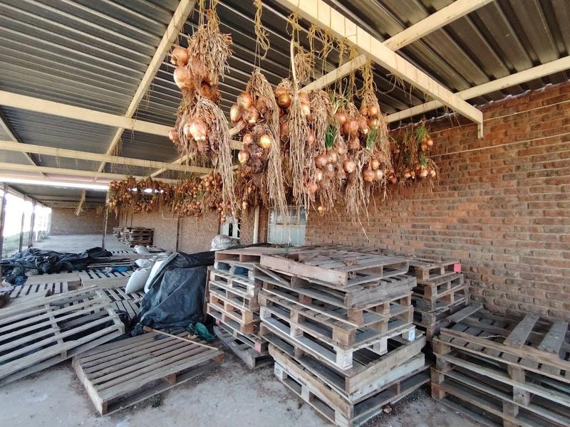 4 Bedroom Property for Sale in Witbank Rural Mpumalanga