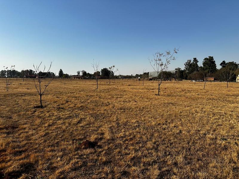 5 Bedroom Property for Sale in Eloff Mpumalanga