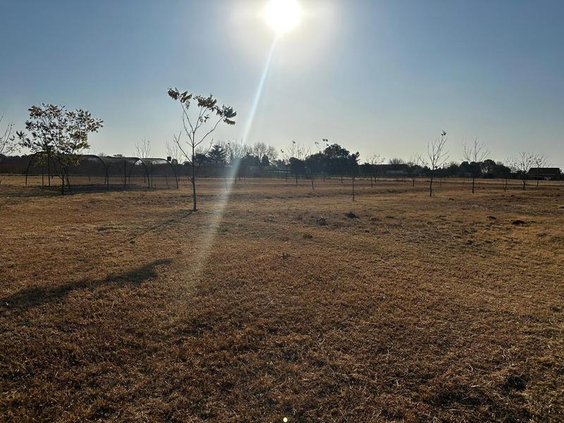 5 Bedroom Property for Sale in Eloff Mpumalanga