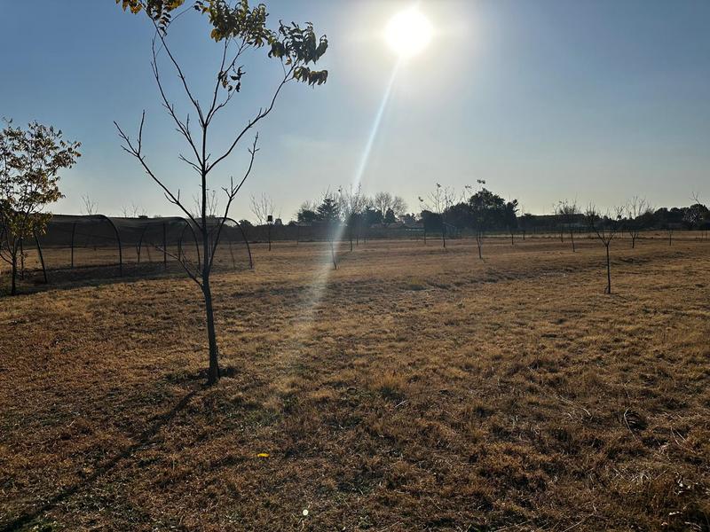 5 Bedroom Property for Sale in Eloff Mpumalanga
