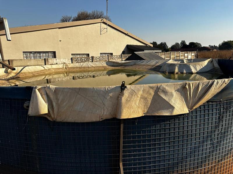 5 Bedroom Property for Sale in Eloff Mpumalanga