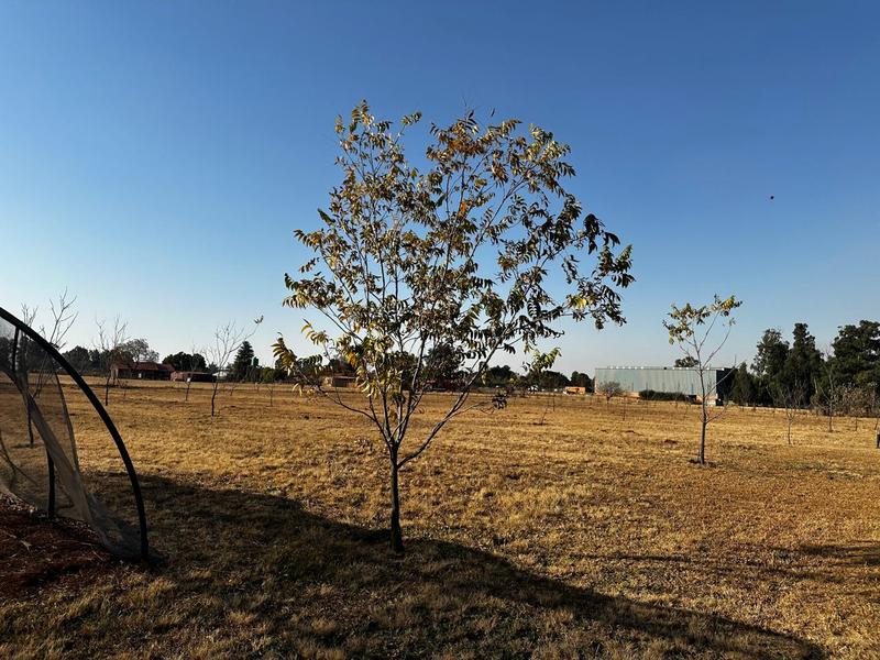 5 Bedroom Property for Sale in Eloff Mpumalanga