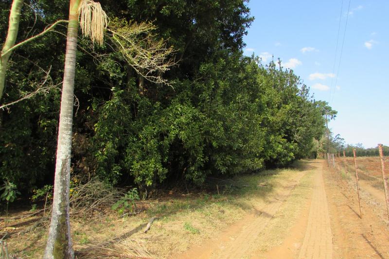 4 Bedroom Property for Sale in White River AH Mpumalanga