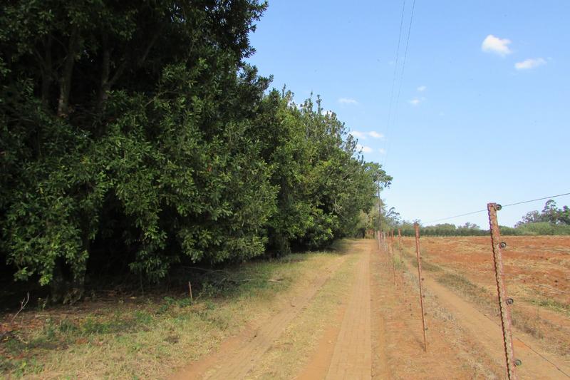 4 Bedroom Property for Sale in White River AH Mpumalanga
