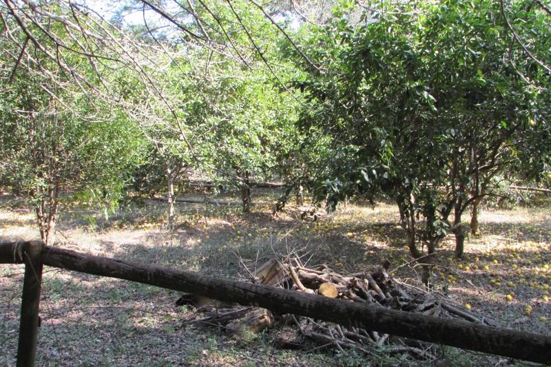 0 Bedroom Property for Sale in White River AH Mpumalanga
