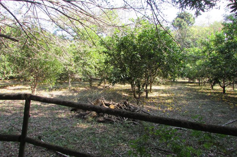 0 Bedroom Property for Sale in White River AH Mpumalanga