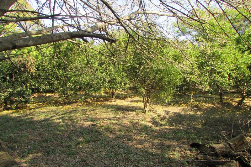 0 Bedroom Property for Sale in White River AH Mpumalanga