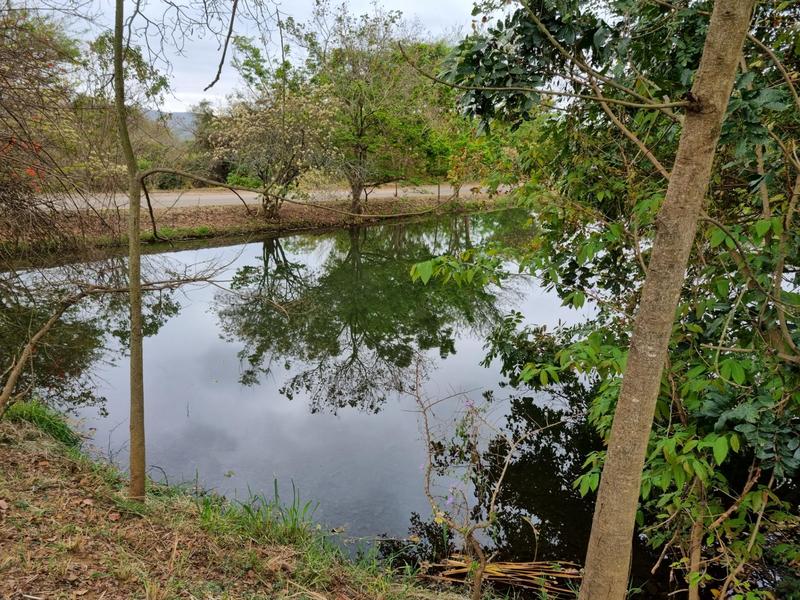 0 Bedroom Property for Sale in Hazyview Mpumalanga
