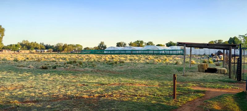 3 Bedroom Property for Sale in Eloff Mpumalanga