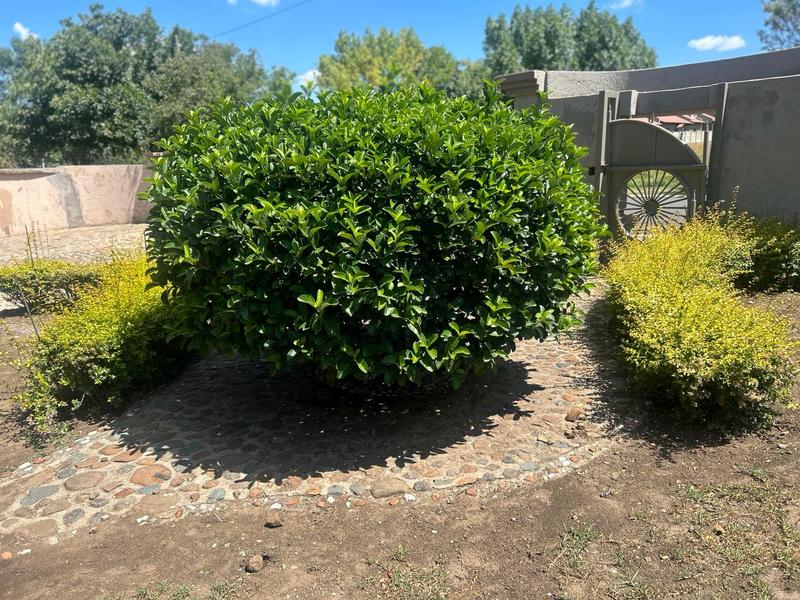 4 Bedroom Property for Sale in Standerton Mpumalanga