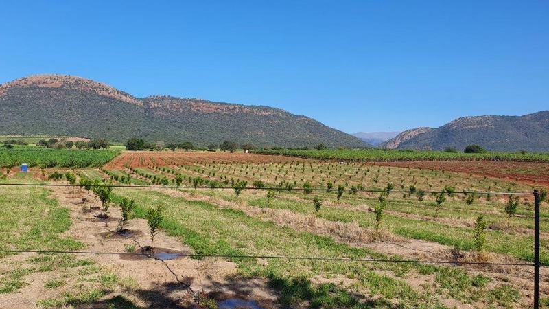 0 Bedroom Property for Sale in Barberton Mpumalanga