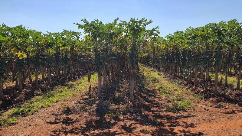 0 Bedroom Property for Sale in Barberton Mpumalanga