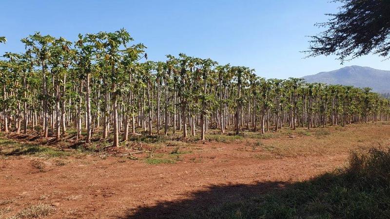 0 Bedroom Property for Sale in Barberton Mpumalanga