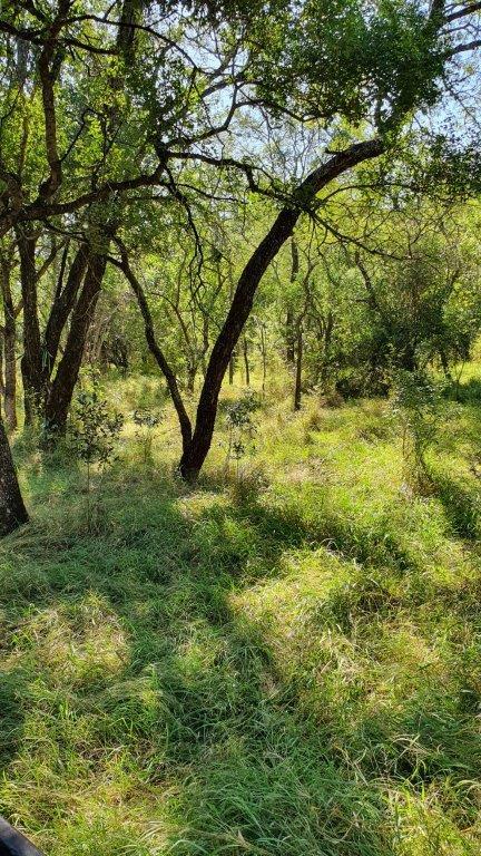 0 Bedroom Property for Sale in Barberton Mpumalanga