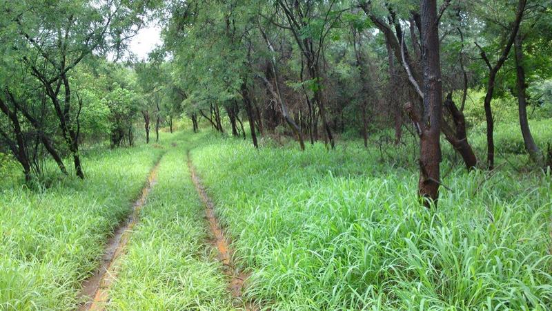 0 Bedroom Property for Sale in Barberton Mpumalanga