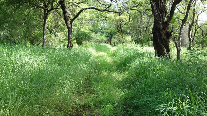 0 Bedroom Property for Sale in Barberton Mpumalanga