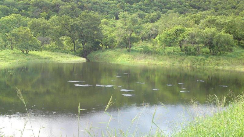 0 Bedroom Property for Sale in Barberton Mpumalanga