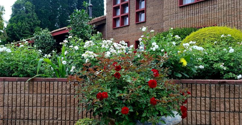 4 Bedroom Property for Sale in Clubville Mpumalanga