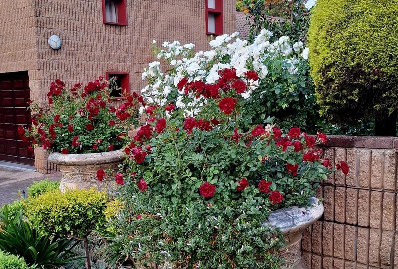 4 Bedroom Property for Sale in Clubville Mpumalanga