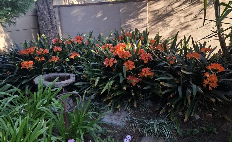 4 Bedroom Property for Sale in Clubville Mpumalanga