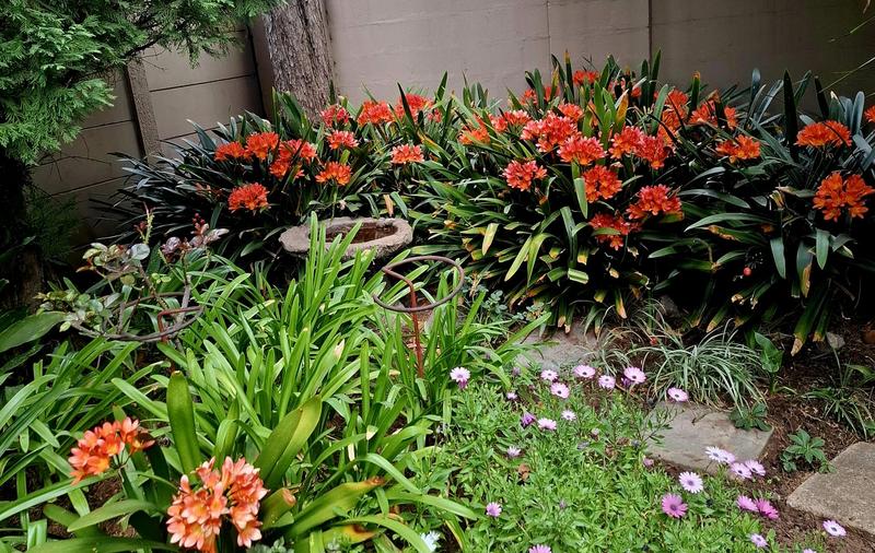 4 Bedroom Property for Sale in Clubville Mpumalanga