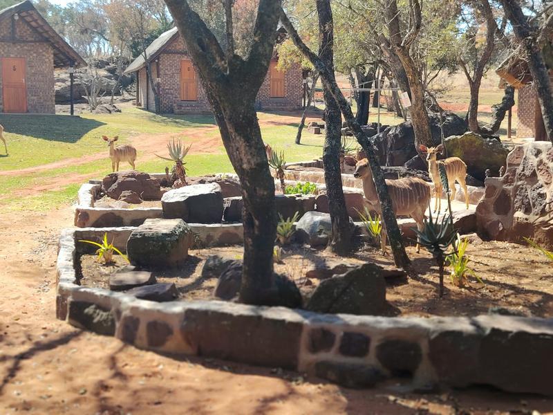 43 Bedroom Property for Sale in Middelburg Rural Mpumalanga